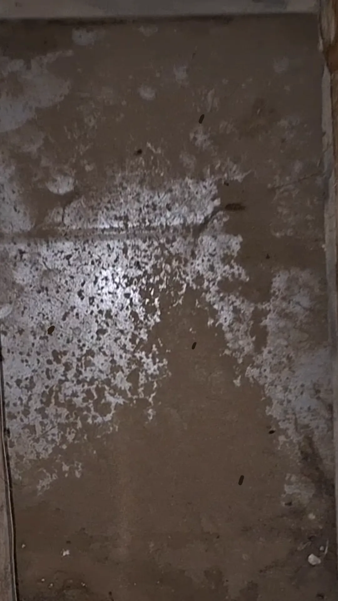 Existing leaky ductwork before AYSP seal — typical Utah crawlspace