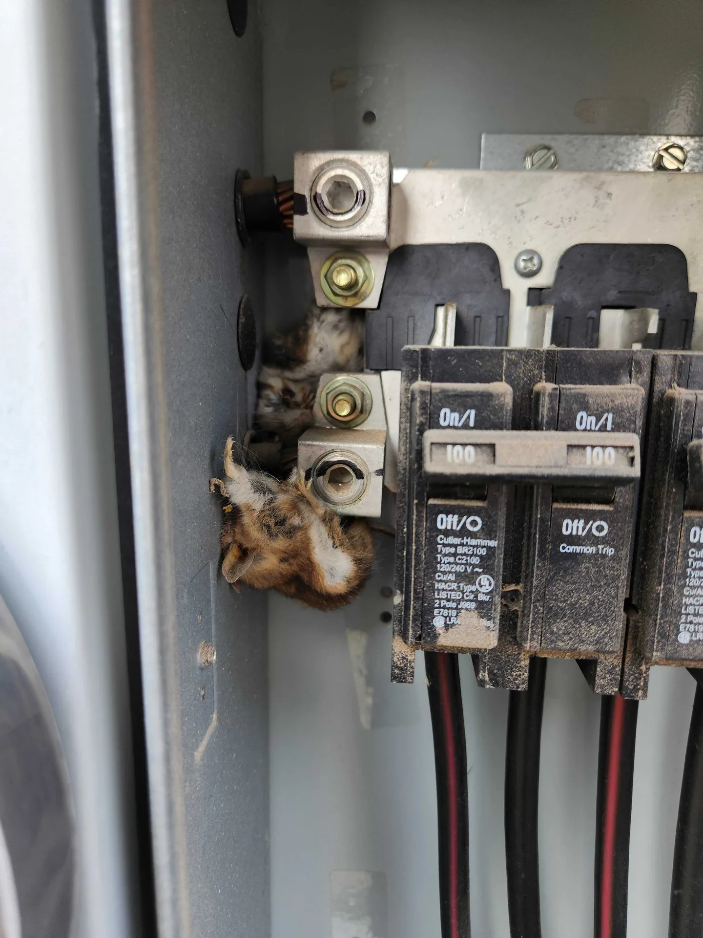 Breaker Keeps Tripping? Utah Electrical Diagnostic