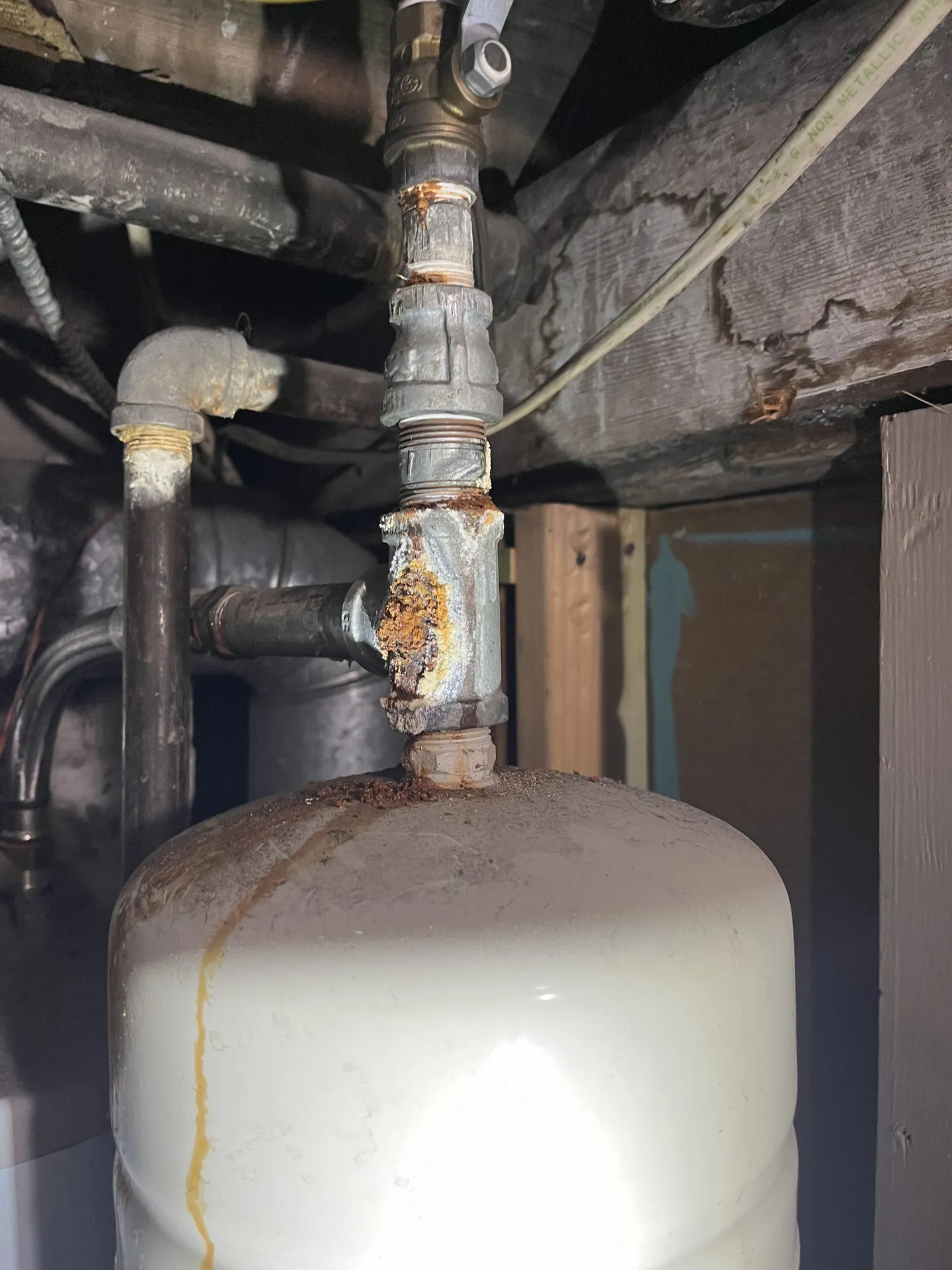 Old cast iron and clay lines are common culprits in Utah homes
