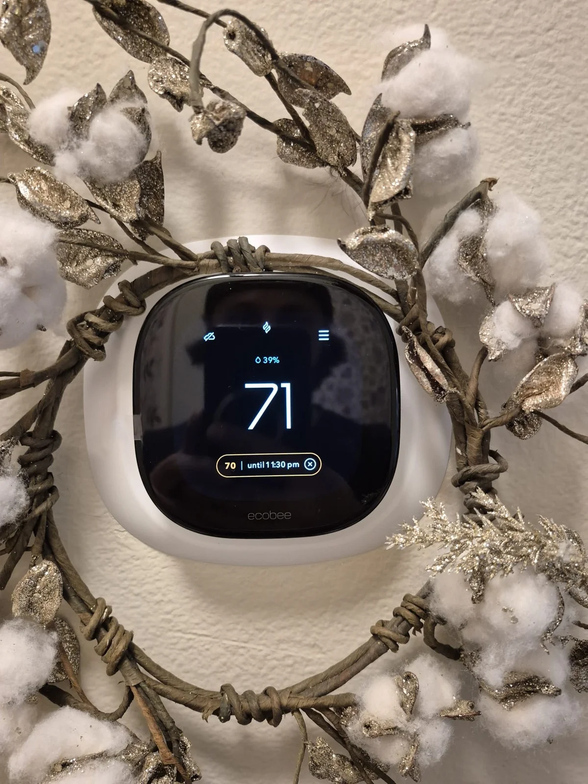 Thermostats & Smart Controls installation 1